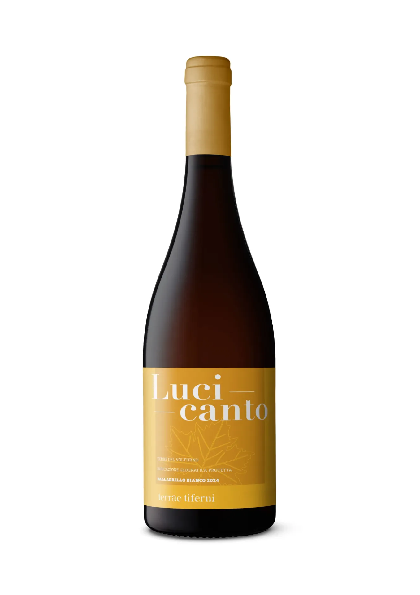 Lucicanto